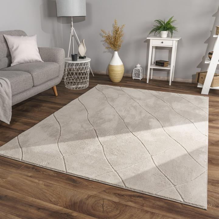 Produktbild TT Home Wohnzimmer Teppich Esszimmer Kurzflor Skandinavisch (150 x 80 cm)
