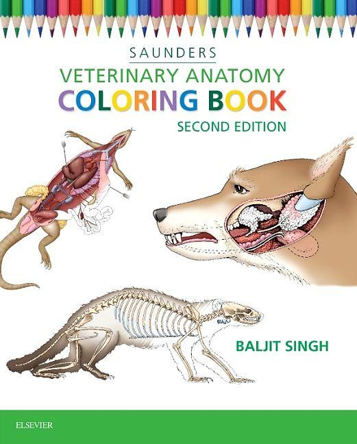 Produktbild Veterinary Anatomy Coloring Book (Englisch, Singh Baljit, 2015)