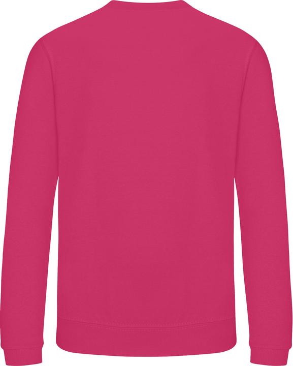 Actual product image Awdis Just Hoods Sweatshirt (92)