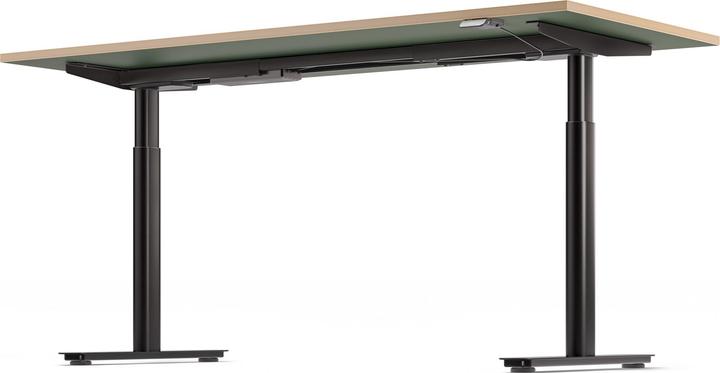 Actual product image ofinto Rise