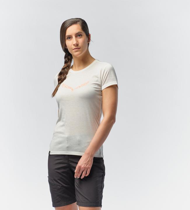 Actual product image Salewa Solid DRI Release T-Shirt (L)