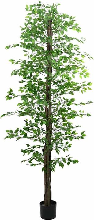 Actual product image vidaXL Pryce (300 cm)