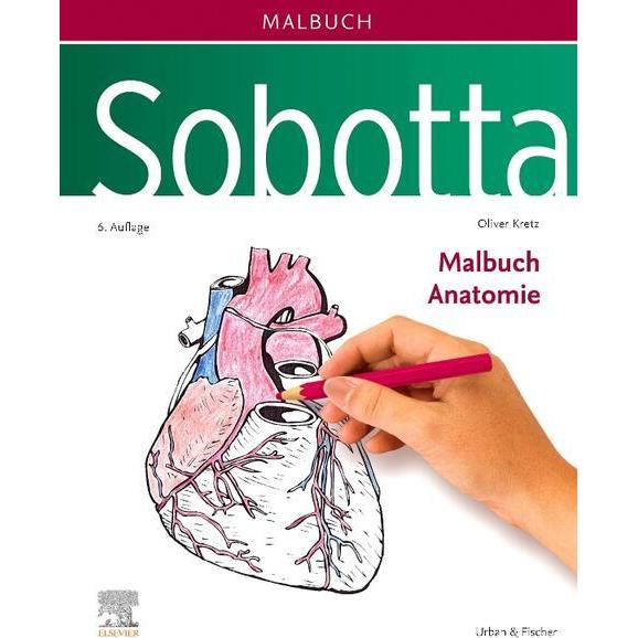 Urban & Fischer Sobotta Malbuch Anatomie