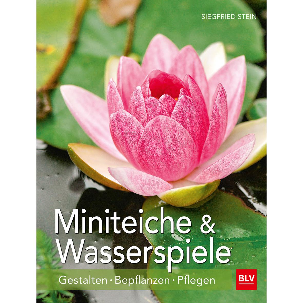 BLV Miniteiche und Wasserspiele (6617692)