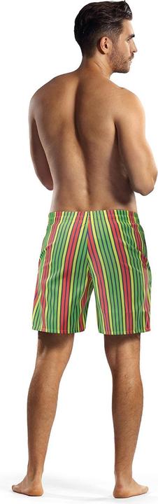 Actual product image Lorin Swimming trunks model 182806 (M)