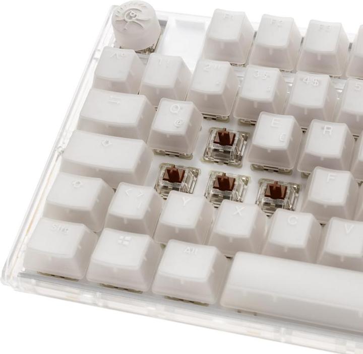 Actual product image Ducky One 3 Aura (DE, Cable)