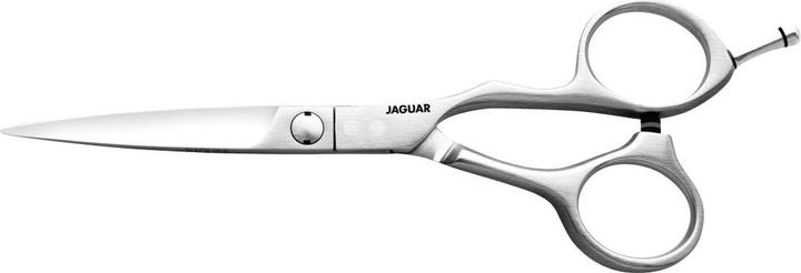 Produktbild Jaguar Vision (14.61 cm)