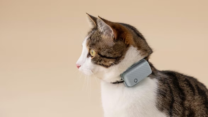 Immagine prodotto Tractive GPS Mini (Taglia unica, Gatto, Generale)