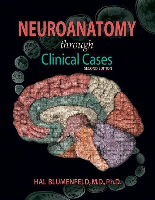 Produktbild Neuroanatomy through Clinical Cases (Englisch, Hal Blumenfeld, 2010)