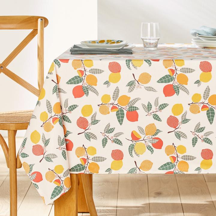 Image du produit La Redoute Interieurs Citron (200 x 150 cm)