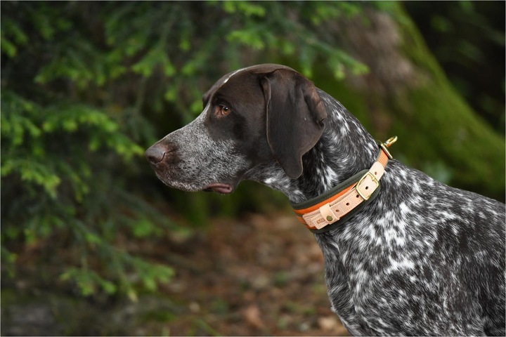Actual product image Niggeloh Welding neck (XS, Dog, Dog sport)