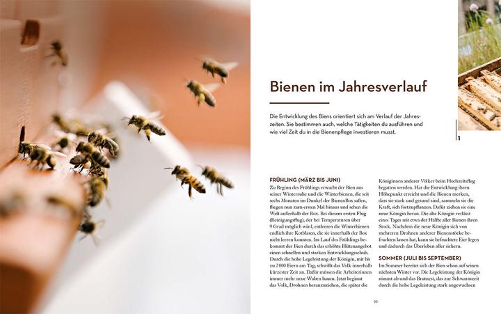 Immagine prodotto Kosmos Bienen halten mit der BienenBox (Tedesco, John Weber, 2024)