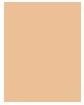 Image du produit Wet n Wild Photo Focus Fond de Teint Dewy 1111522E (Beige tendre)