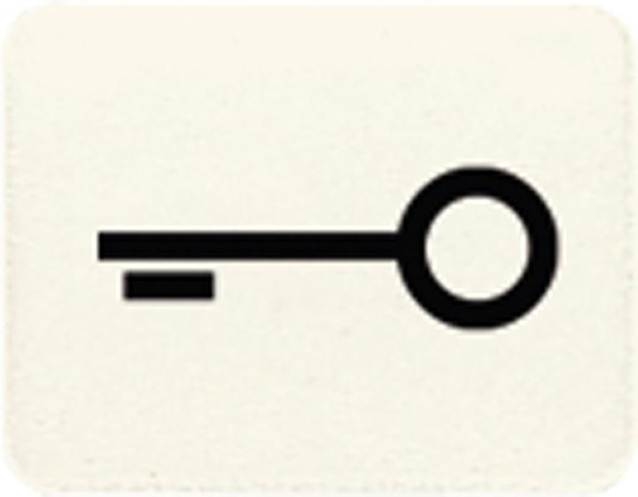 Image du produit JUNG 33T Symbole du bouton-poussoir de la porte