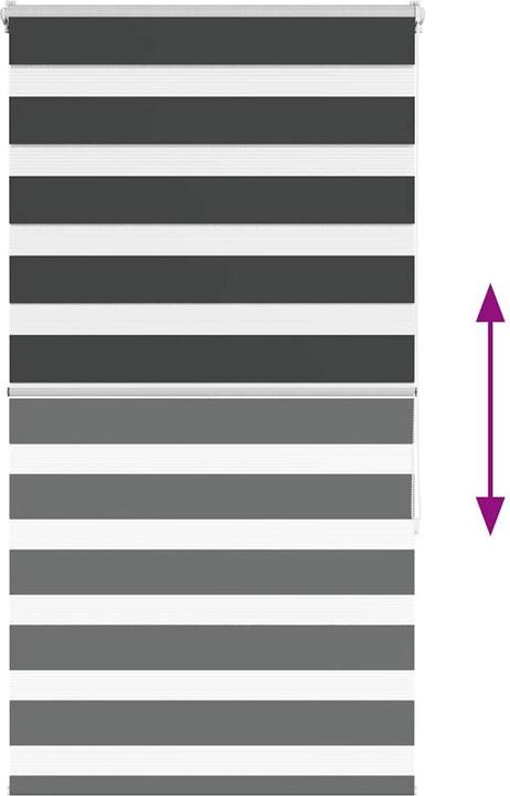 Produktbild vidaXL Zebra-Jalousie (70 x 150 cm)