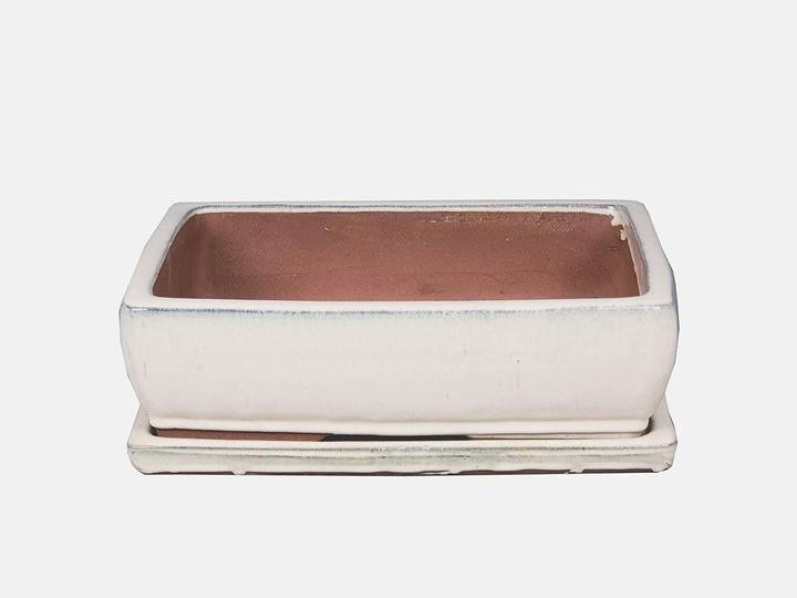 Actual product image Herstera Bonsai Kofun + Plato (21 cm)