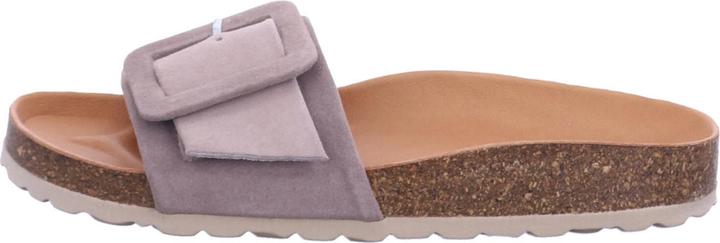 Immagine prodotto Verbenas Reiko (41)