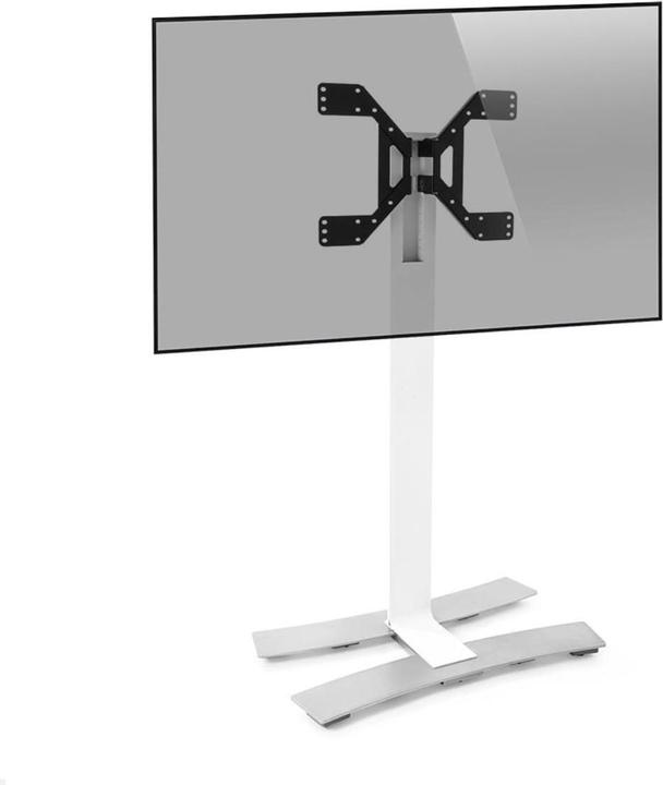 Produktbild Erard Will 1600XL (Universal, 75", 50 kg)