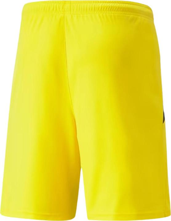 Produktbild Puma Team Liga Shorts (M)