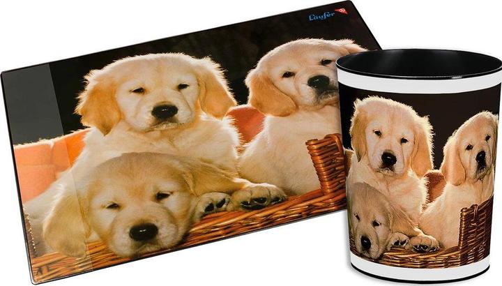 Immagine prodotto Läufer Cani (13 l)