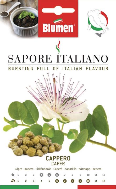 Actual product image Blumen Capers (Vegetable seeds)