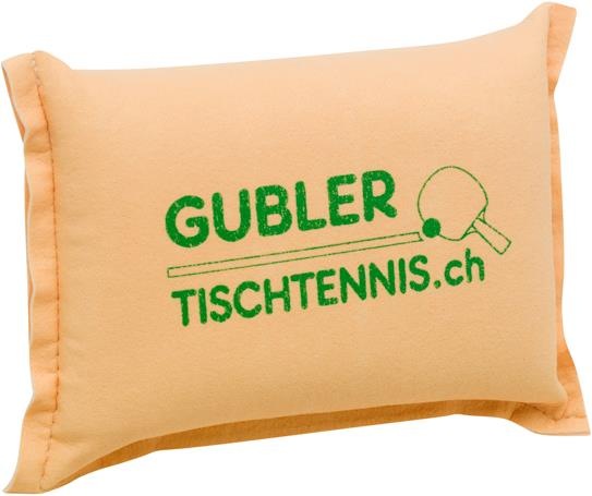 Gubler Cleaning sponge