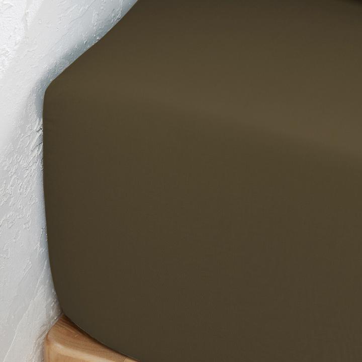 Image du produit La Redoute Interieurs Percale Bio (Housse de couette, 180 x 200 cm)