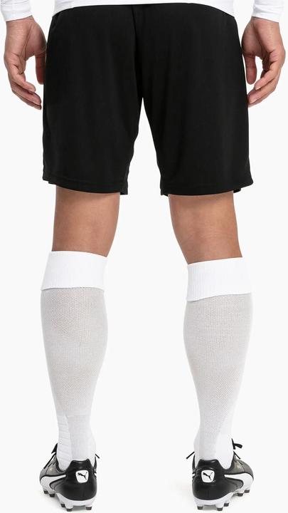 Actual product image Puma Team LIGA Socks-703438 (43 - 46)