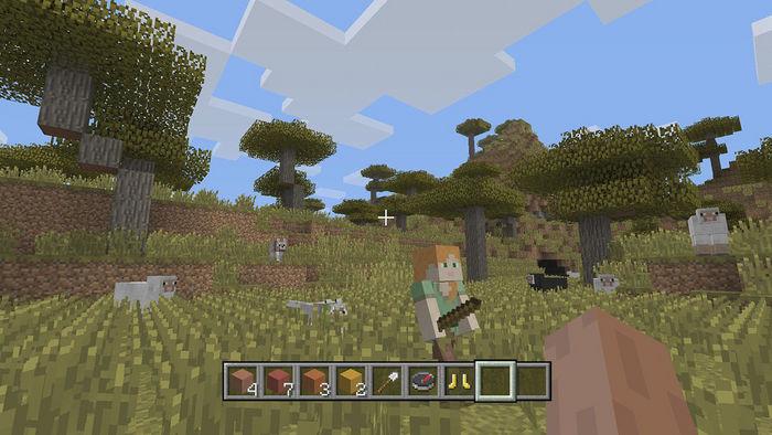 Produktbild Sony Minecraft Starter Edition (PS4, EN)