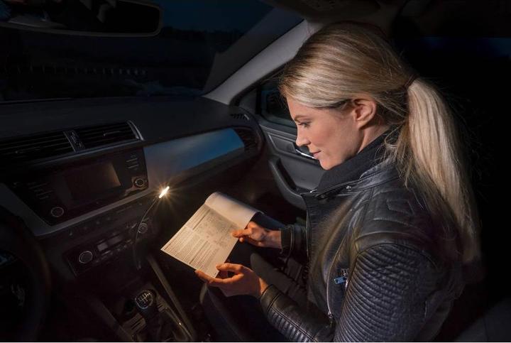Actual product image Osram Onyx Copilot