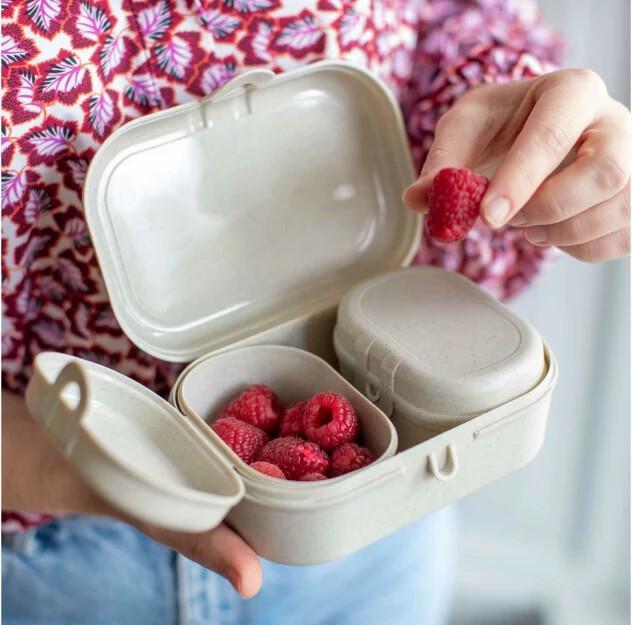 Actual product image Koziol Lunchbox Pascal Ready Mini Grey