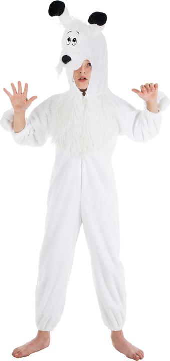 Image du produit Chaks Costume d'enfant Idéfix (104)