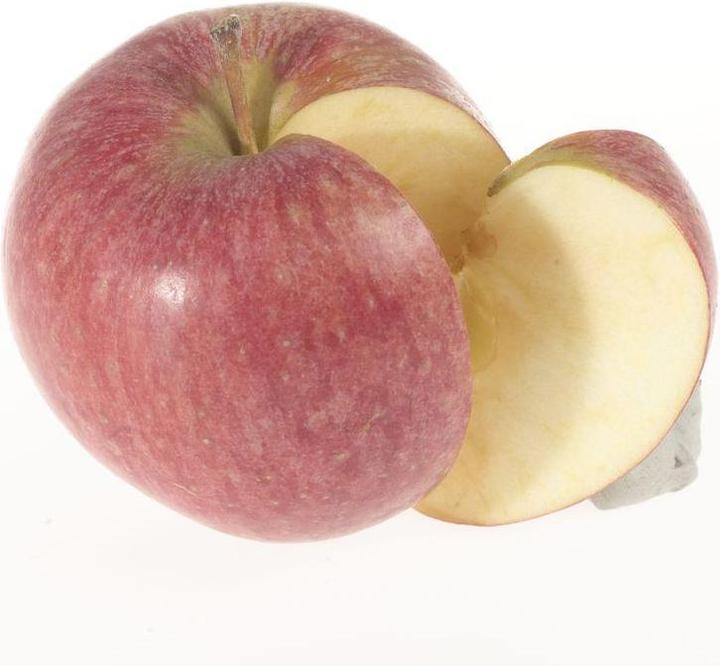Actual product image Lubera Two columnar apple trees for the tub