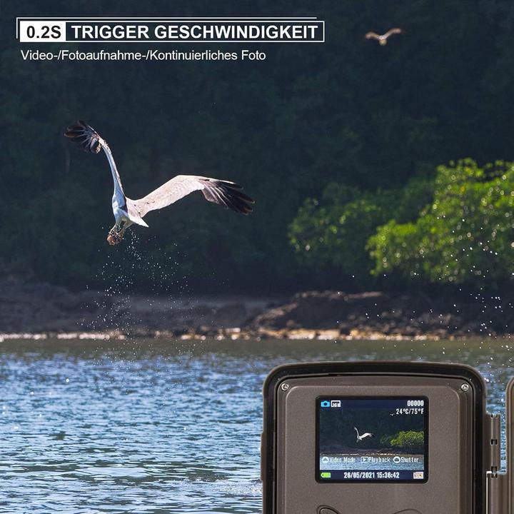 Actual product image Carehabi Wildkamera mit 4K Nachtsicht und IP67 Schutz