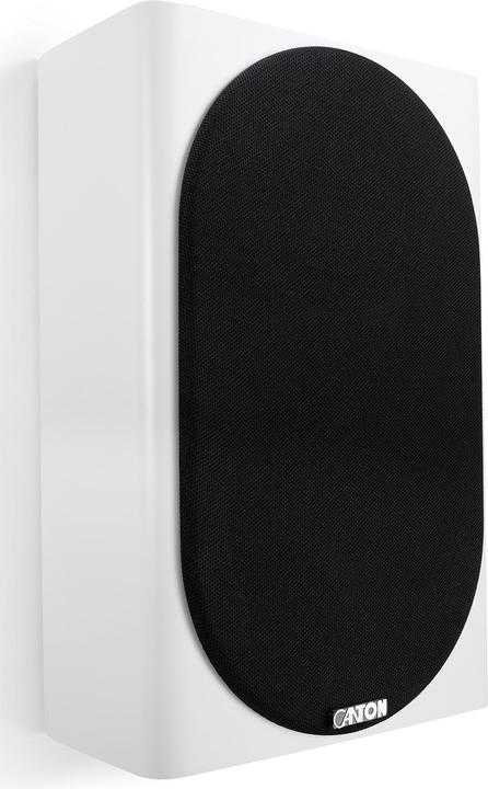 Image du produit Canton Townus 10 (1 paire, 100 W)