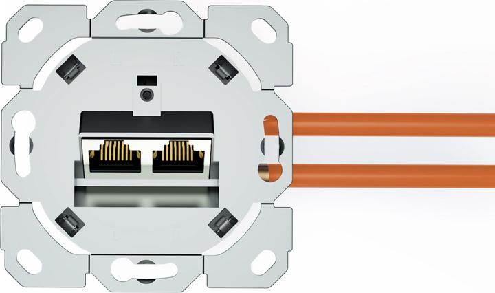 Actual product image Digitus Network socket