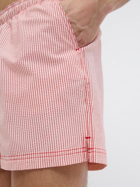 Actual product image Jack & Jones Regular Fit Badeshorts Badeshorts (L)