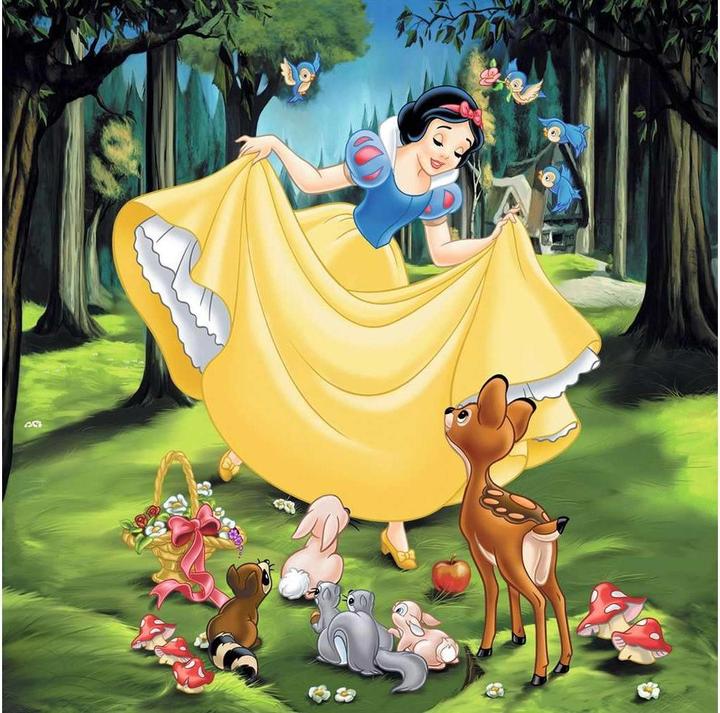 Actual product image Ravensburger Disney Princess (49 pieces)