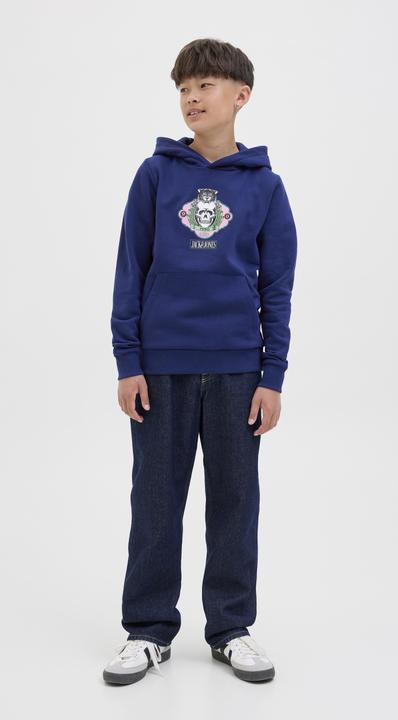 Actual product image Jack & Jones Jorskull Nature Sweat Hood Sn Jnr (152)