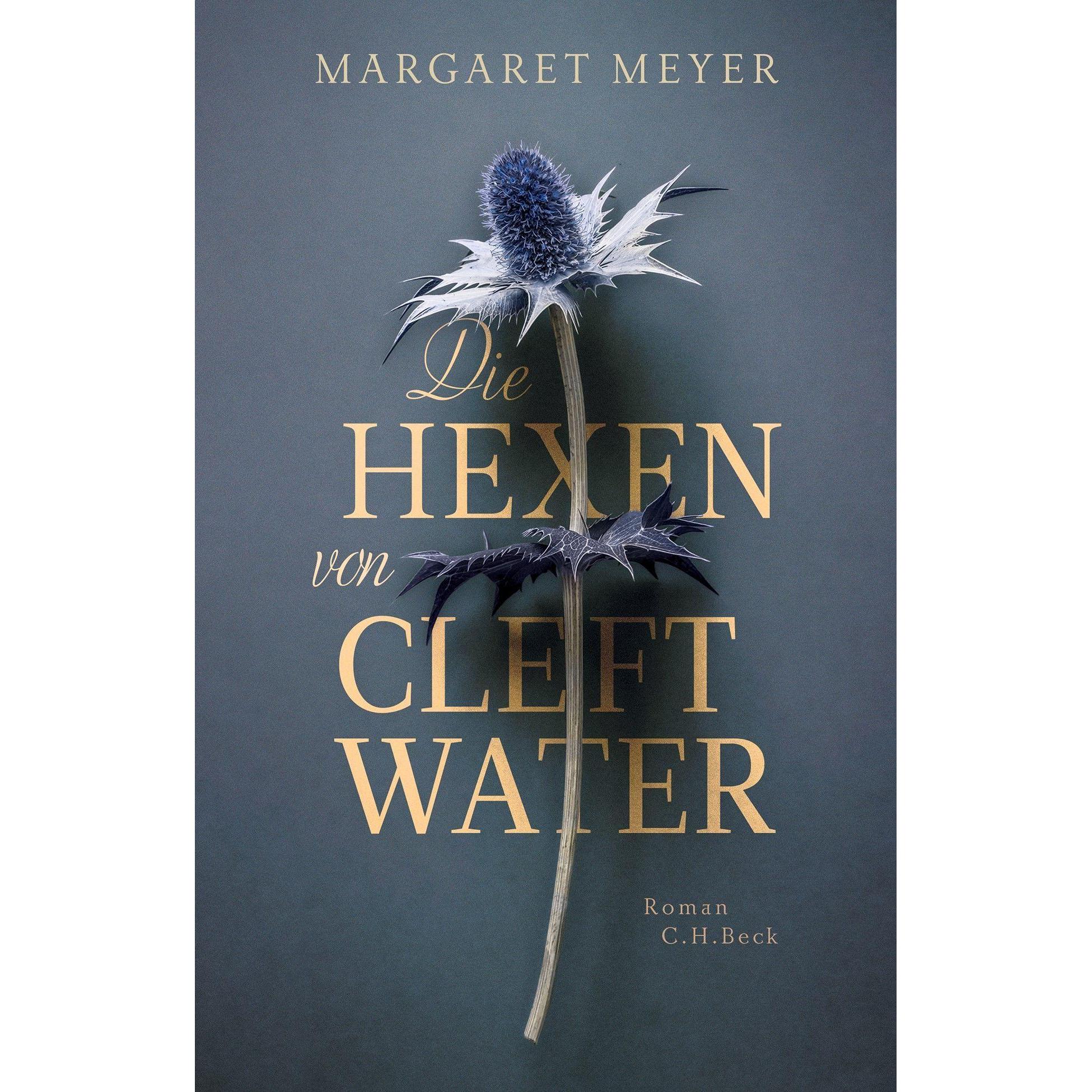 Die Hexen von Cleftwater, Belletristik von Cornelius Hartz, Margaret Meyer