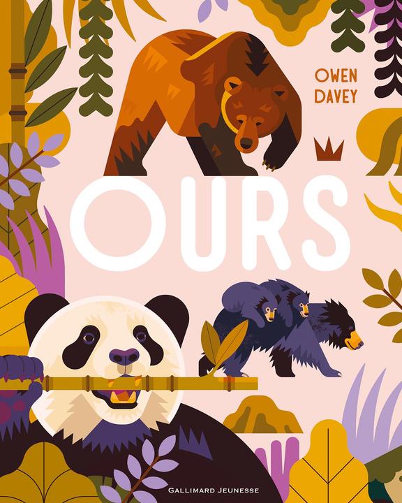 Immagine prodotto Ours (Francese, Davey Owen, 2024)