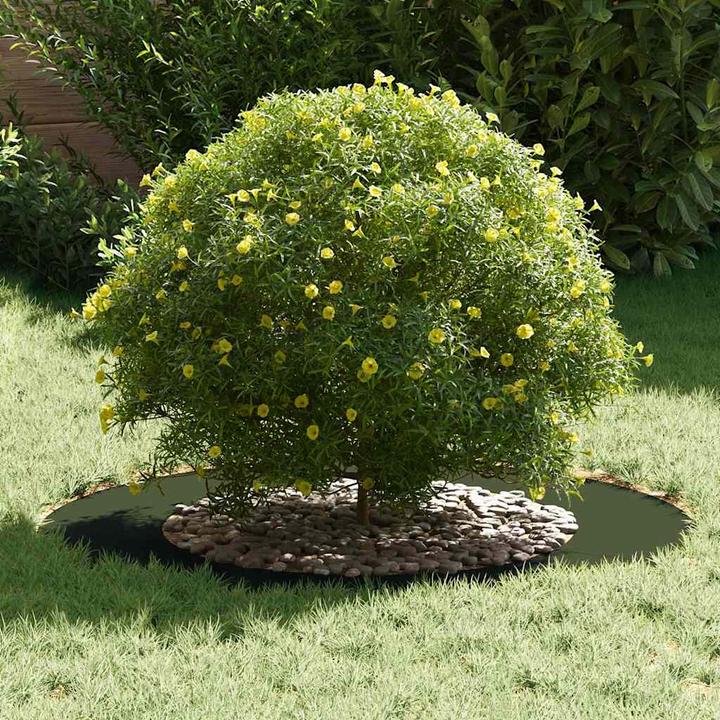 Immagine prodotto vidaXL Dekorativer Baum