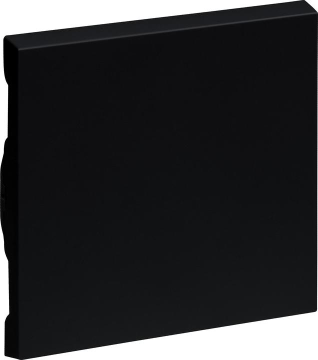 Black lacquered