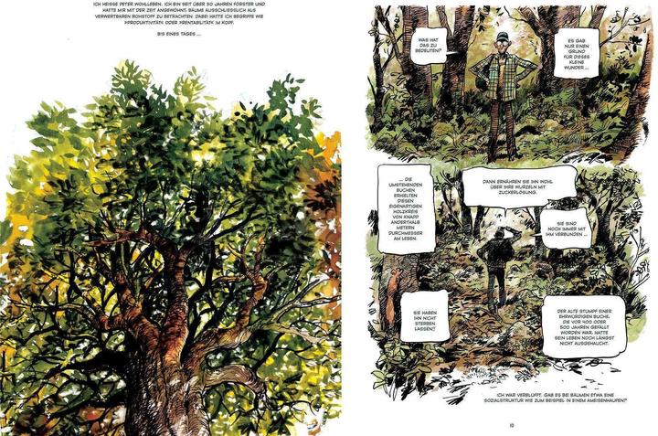 Actual product image Das geheime Leben der Bäume (German, Peter Wohlleben, 2023)