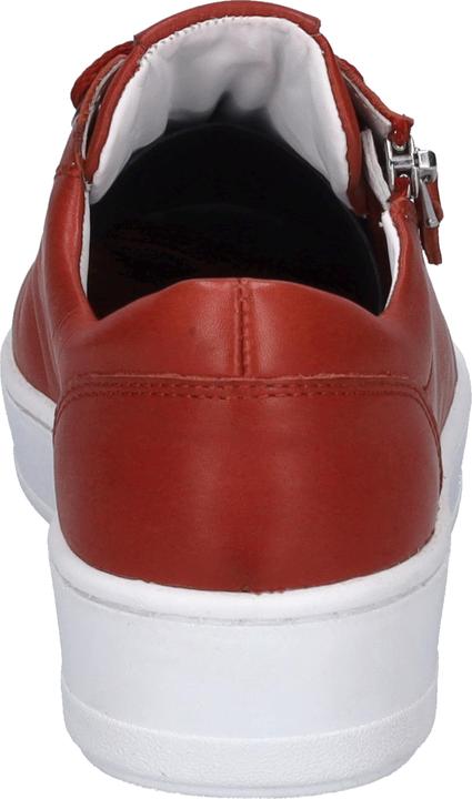 Produktbild Westland 36802-491 (39)