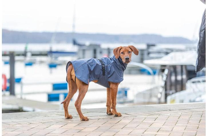 Image du produit Trixie BE NORDIC Manteau de pluie Husum (S, Imperméable pour chien)