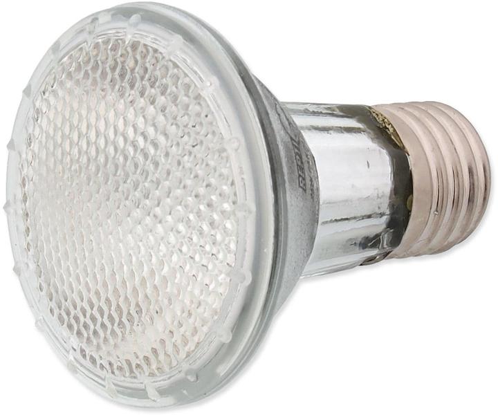 Actual product image Repti Planet Terrarium lamp halogen spot 35 W (UVA, Splashproof)