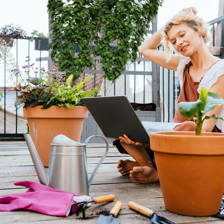 Actual product image Relaxdays Planter Box Trellis Wall (71.50 cm)