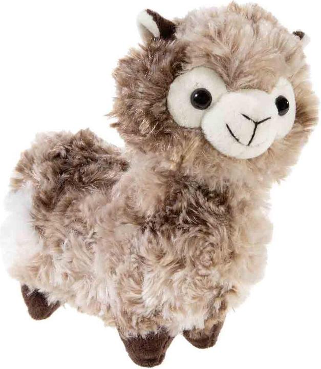 Dark brown, Two-coloured