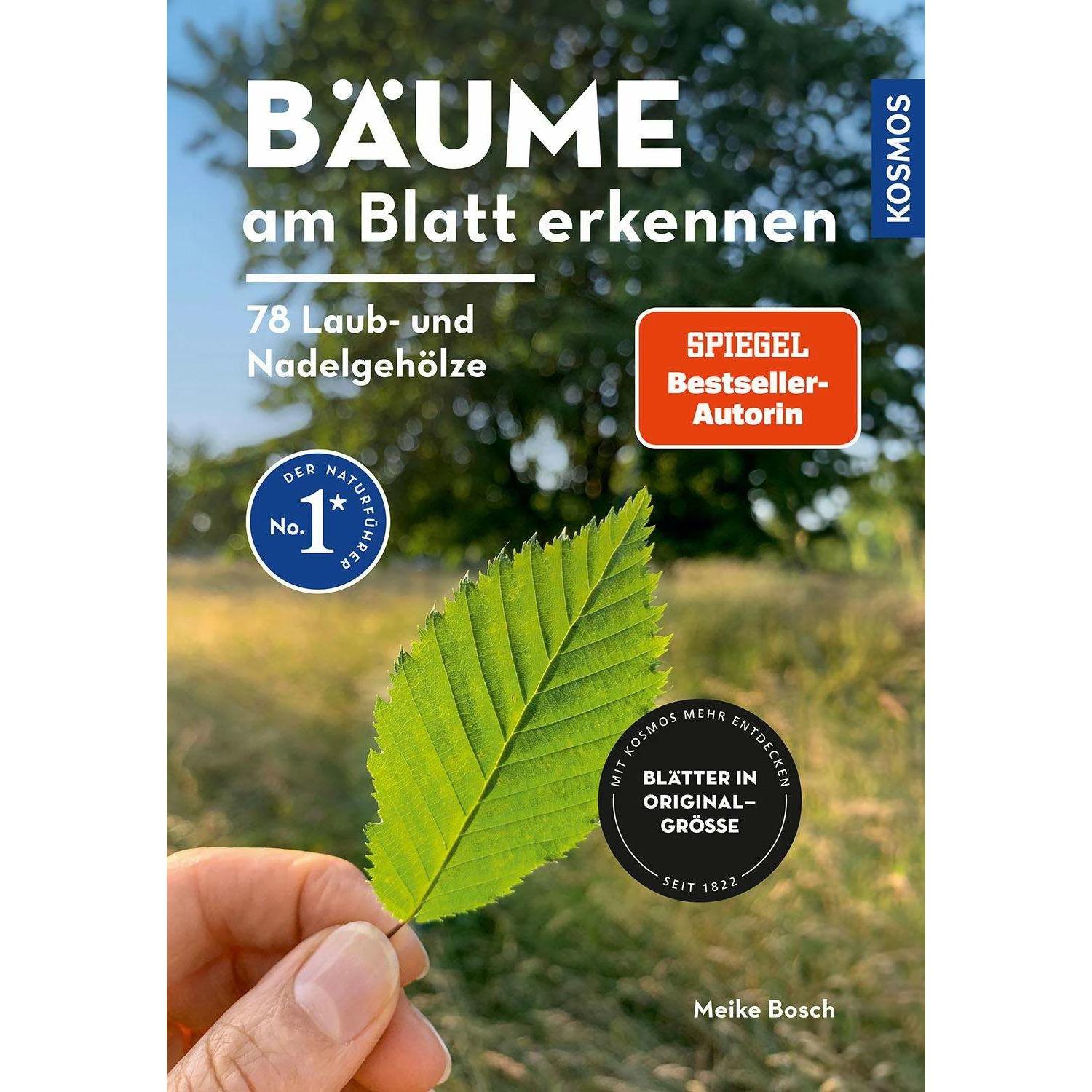Bäume am Blatt erkennen - 78 Laub- und Nadelgehölze. Blätter in Originalgrösse, Ratgeber von Meike Bosch